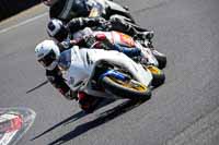 brands-hatch-photographs;brands-no-limits-trackday;cadwell-trackday-photographs;enduro-digital-images;event-digital-images;eventdigitalimages;no-limits-trackdays;peter-wileman-photography;racing-digital-images;trackday-digital-images;trackday-photos